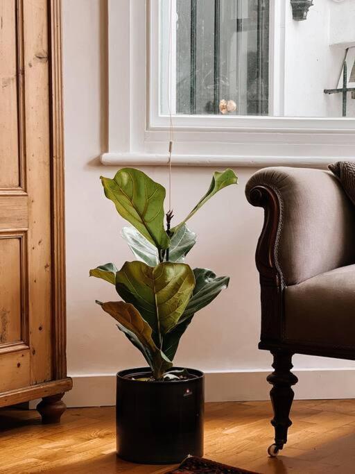 Stunning Victorian Mansion Apartment - Hosted By Agf Property - Free Parking Upon Request Hove Buitenkant foto